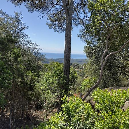 Casa Feliz Villa Sant Cebria de Vallalta Bagian luar foto