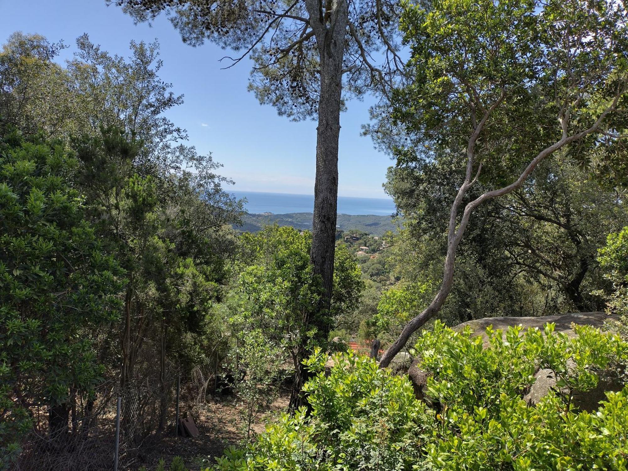 Casa Feliz Villa Sant Cebria de Vallalta Bagian luar foto
