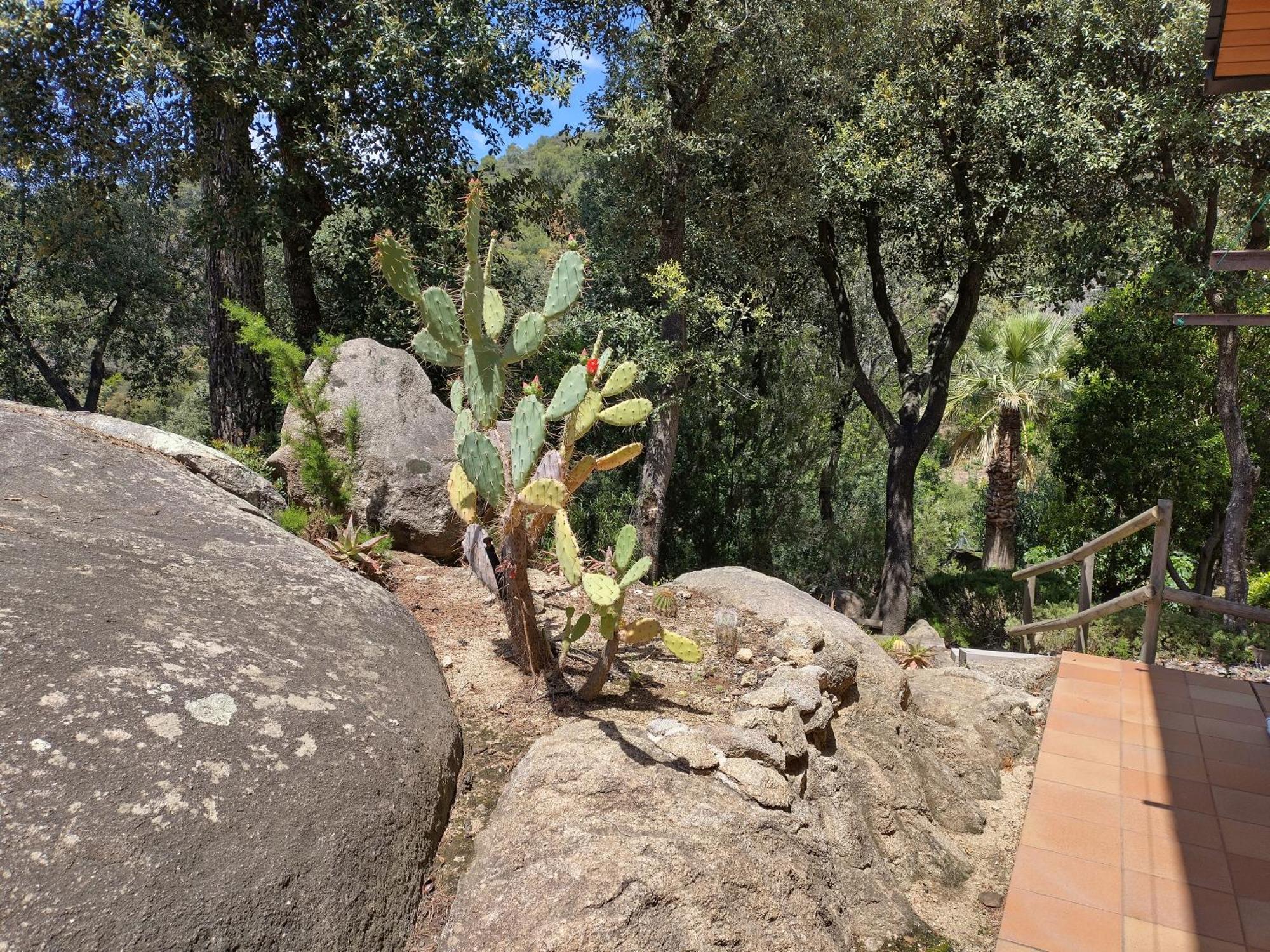 Casa Feliz Villa Sant Cebria de Vallalta Bagian luar foto